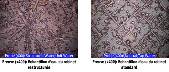 comparatif eau standard vs eau structurée